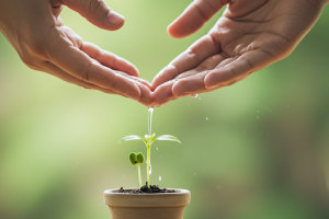 💻Descubre el potencial del Marketing de Afiliados: ¿Qué es y cómo puedes empezar a ganar dinero?💻